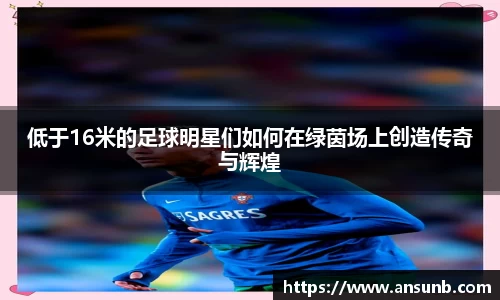 低于16米的足球明星们如何在绿茵场上创造传奇与辉煌